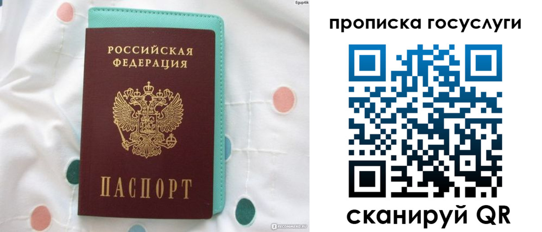 прописка поиск в Отрадном
